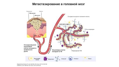 Как выбрать алгоритм лечения