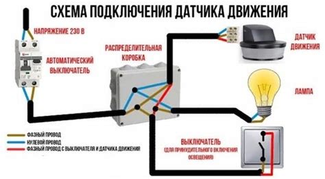 Как выбрать и установить поляризованный выключатель?