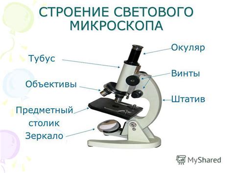 Как выбрать подходящий тубус для микроскопа