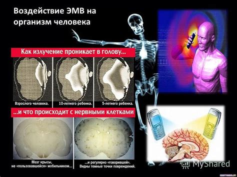 Как выявить воздействие на организм