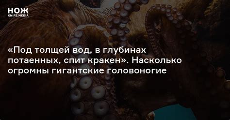 Как в потаенных глубинах психики женщины переплетаются символы грибов шампиньонов с ее текущим положением в жизни?