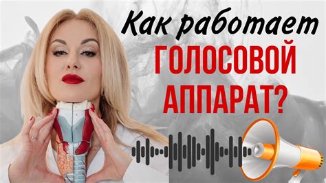 Как голосовой трафик М2М работает?