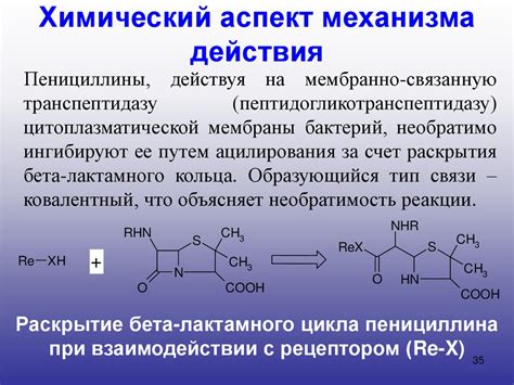 Как действует бета-лактамное кольцо?