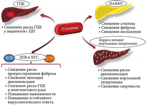 Как действует гиполипидемическая терапия?