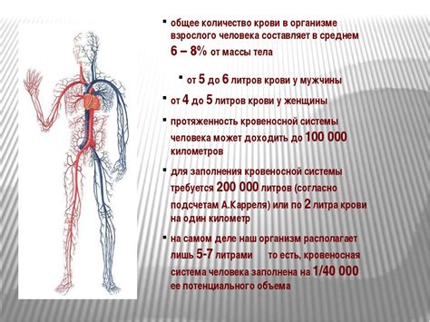 Как действует пентаанатоксин в организме?