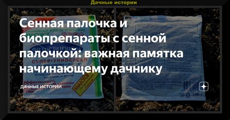 Как действуют препараты с сенной палочкой на организм?