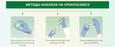 Как диагностировать уреаплазму без референсных интервалов?