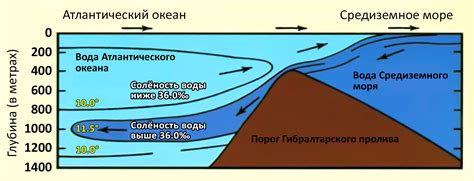 Как достигается прозрачность воды в море?