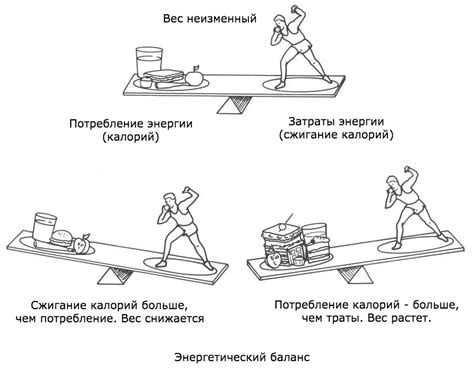 Как достичь и поддерживать энергетический баланс?