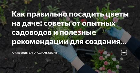 Как защититься от плута: полезные советы и рекомендации