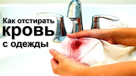 Как избежать загрязнения крови?