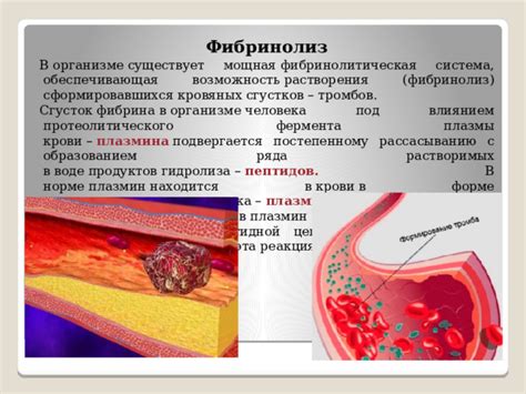 Как избежать накопления фибрина в организме?