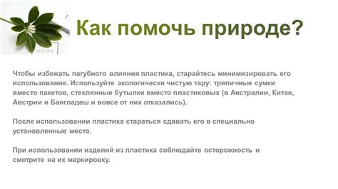 Как избежать пагубного влияния вожделения на жизнь