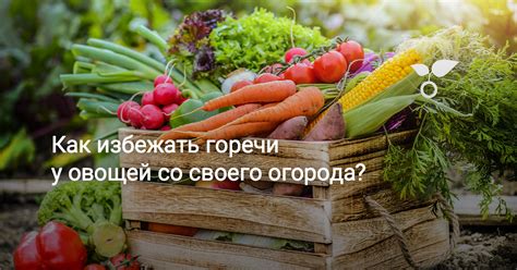 Как избежать появления горечи