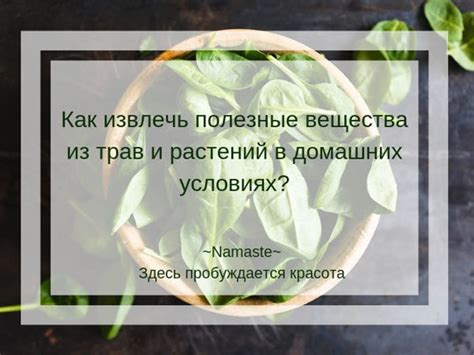 Как извлечь полезные уроки из снов и применить их в будущих отношениях?