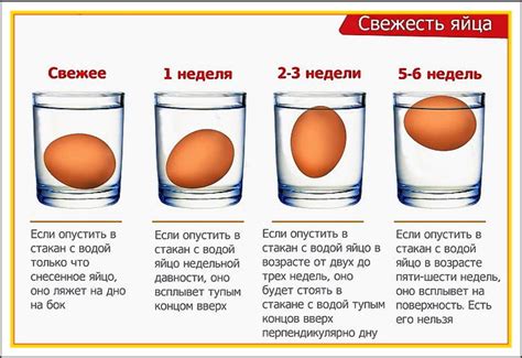 Как изменить размер яиц: возможно ли?