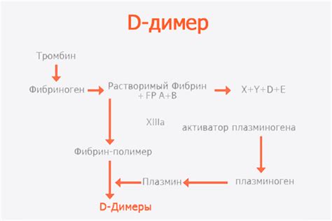 Как измеряют уровень д-димера?