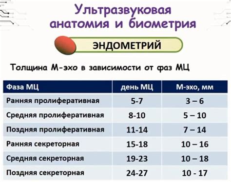 Как использовать М эхо 22мм?