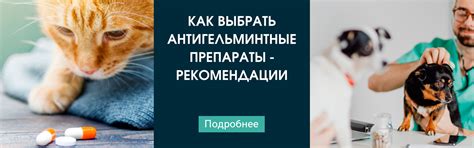 Как использовать антигельминтные препараты