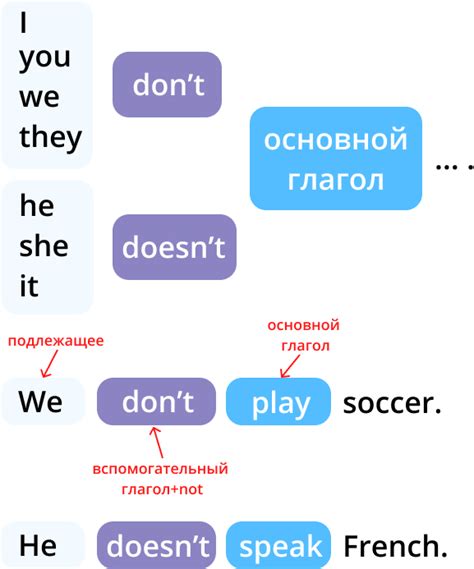 Как использовать глагол "does" в отрицательных предложениях?