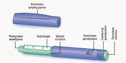 Как использовать короткий инсулин