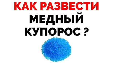 Как использовать натуральные ингредиенты для борьбы с грибком на укропе