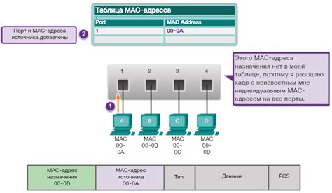 Как использовать таблицу MAC 2048