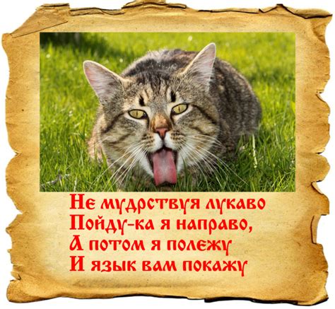 Как использовать фразу "не мудрствуя лукаво" в собственной речи