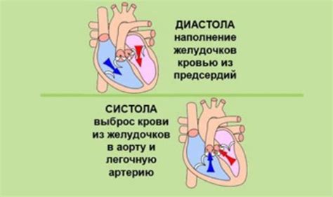 Как лечить нарушение диастолической функции левого желудочка сердца?