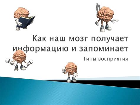 Как наш мозг преобразует информацию, ведя нас к осуществлению наших мечтаний