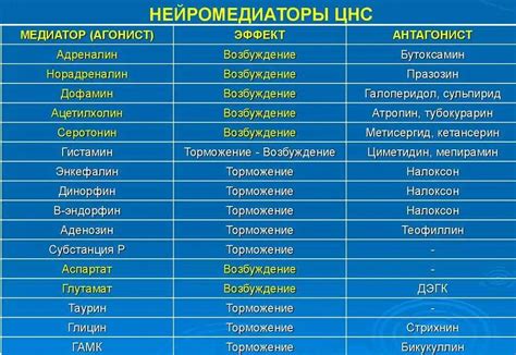 Как нейромедиаторы влияют на работу мозга?