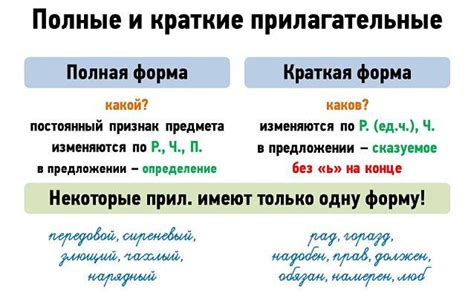 Как образуются совершенные прилагательные: правила и примеры