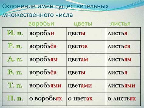 Как образуются существительные на -а, -я во множественном числе