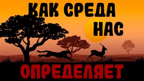 Как образ определяет нас?