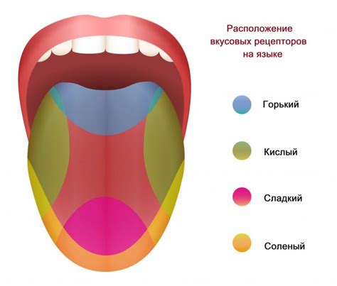 Как обрести запах и вкус еды: полезные советы и рекомендации