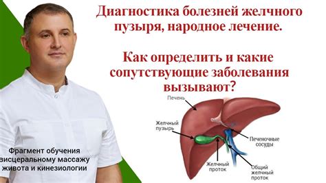 Как определить дисхолию желчного пузыря?