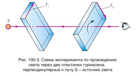 Как определить поляризованный свет?