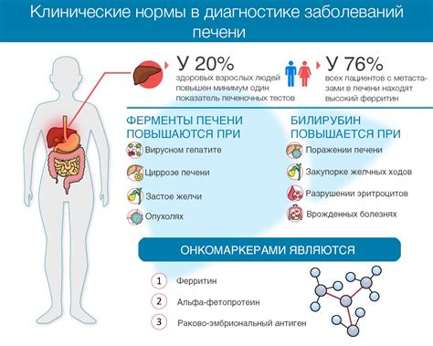 Как определить протромбиновое время у мужчин?