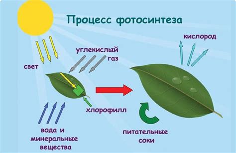 Как осуществляется процесс скидывания нюдсов?