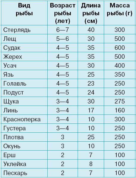 Как оценить навеску рыбы визуально