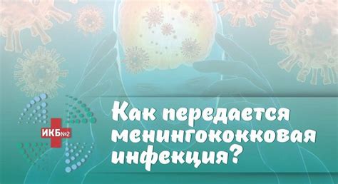 Как передается менингококковая инфекция?