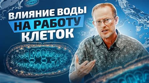 Как плагиат влияет на научное сообщество