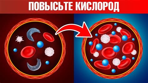 Как повысить уровень кислорода в крови естественными способами