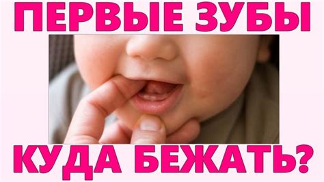 Как помочь белку при схватке