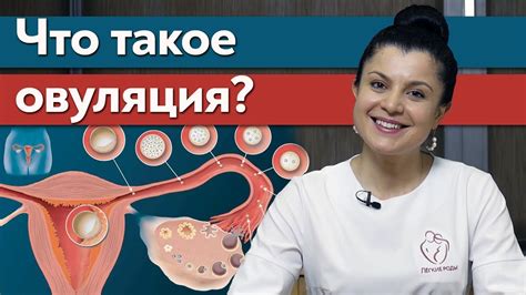 Как понять, что началась овуляция?