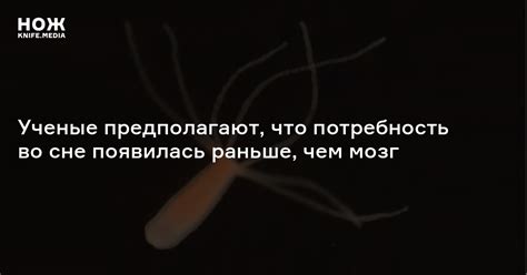 Как поступить, если во сне появилась таинственная темная кисть?