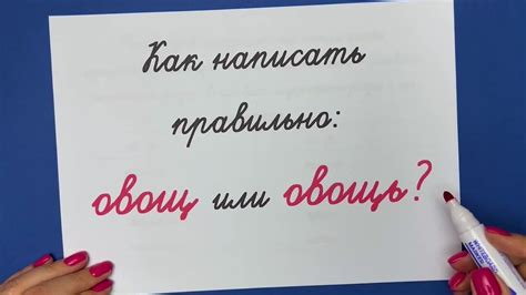 Как правильно использовать мягкий знак