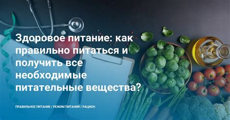 Как правильно питаться, чтобы получить все необходимые клеточные питательные вещества