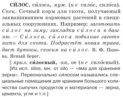 Как правильно ударять в слове "силос"?