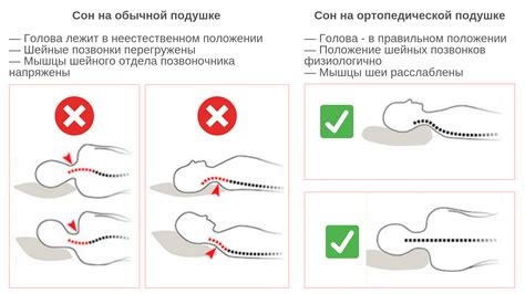 Как преодолеть неблагоприятное разъяснение сна о насекомых на подушке